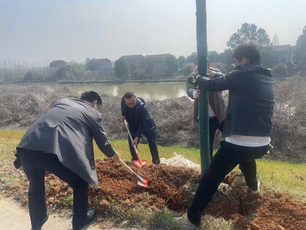 植绿添新彩 同心护家园——九三学社常德市综合支社联合土木支社开展植树活动